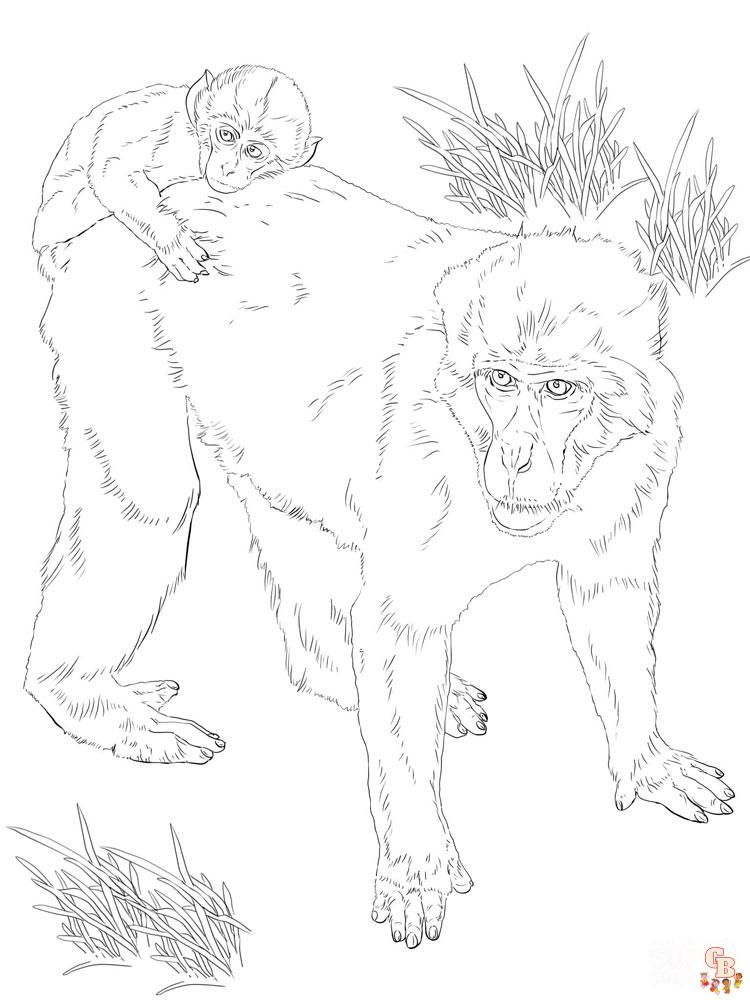 Monkey coloring pages for kids
