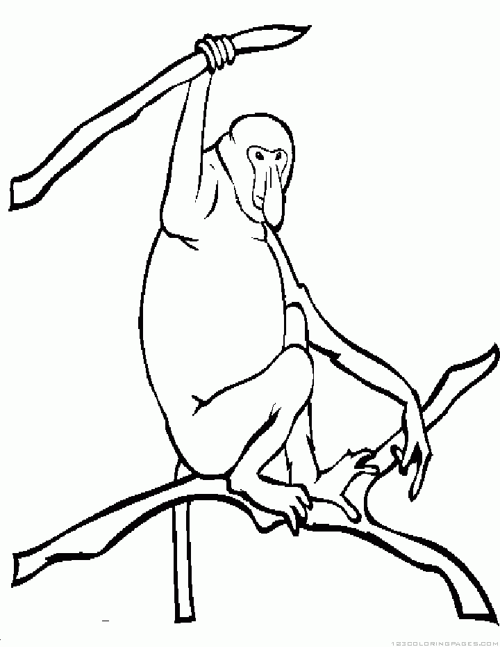 Monkey coloring pages