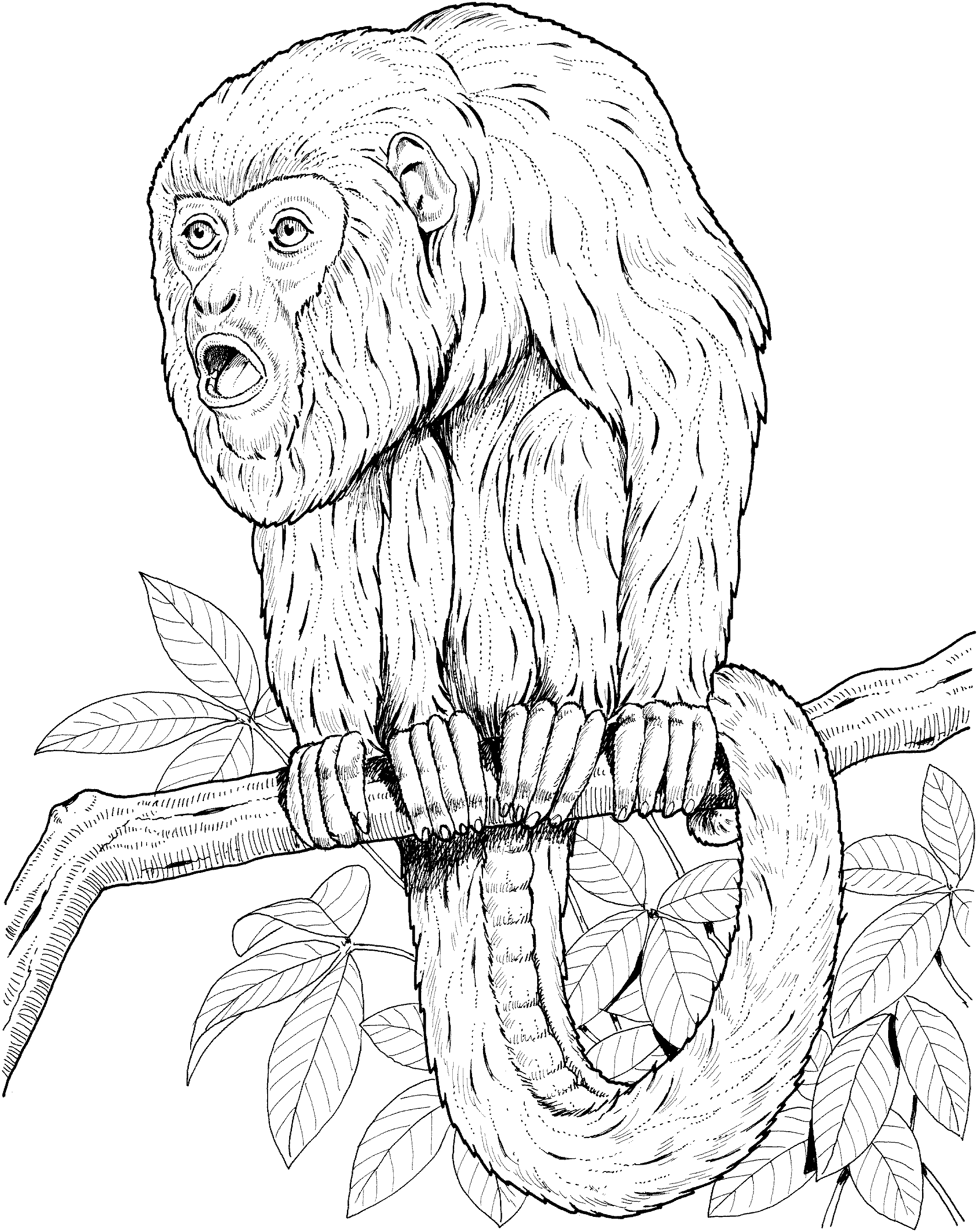 Free monkey coloring pages