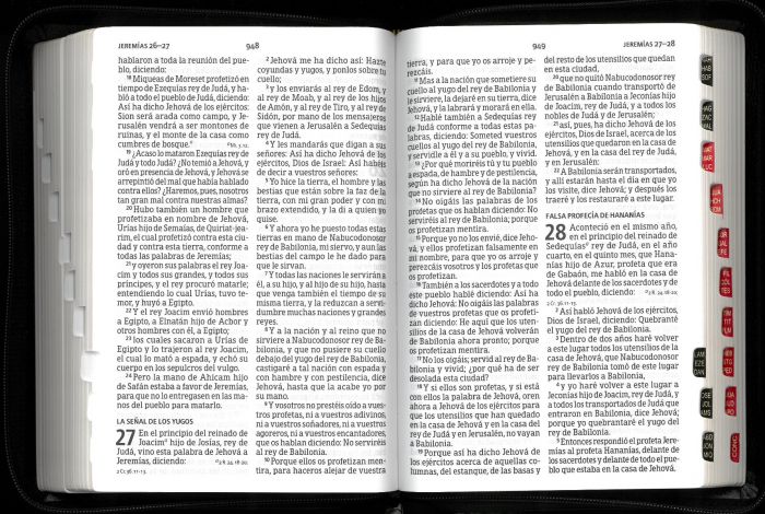 Spanish reference bible giant print indexed with zip