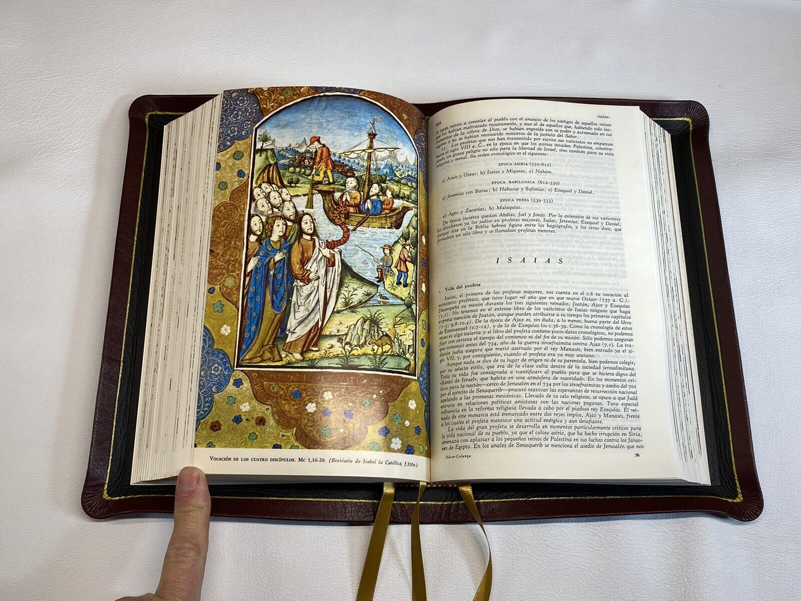 Sagrada biblia nãcar colunga con cãdices a todo color tamaão grande