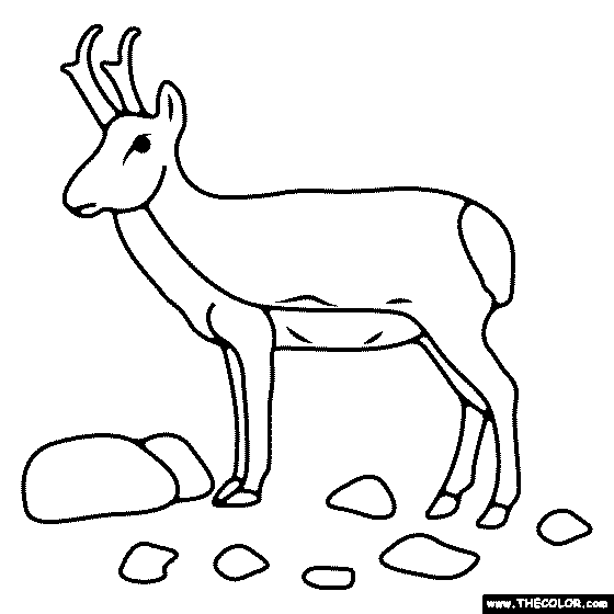 General anials online coloring pages