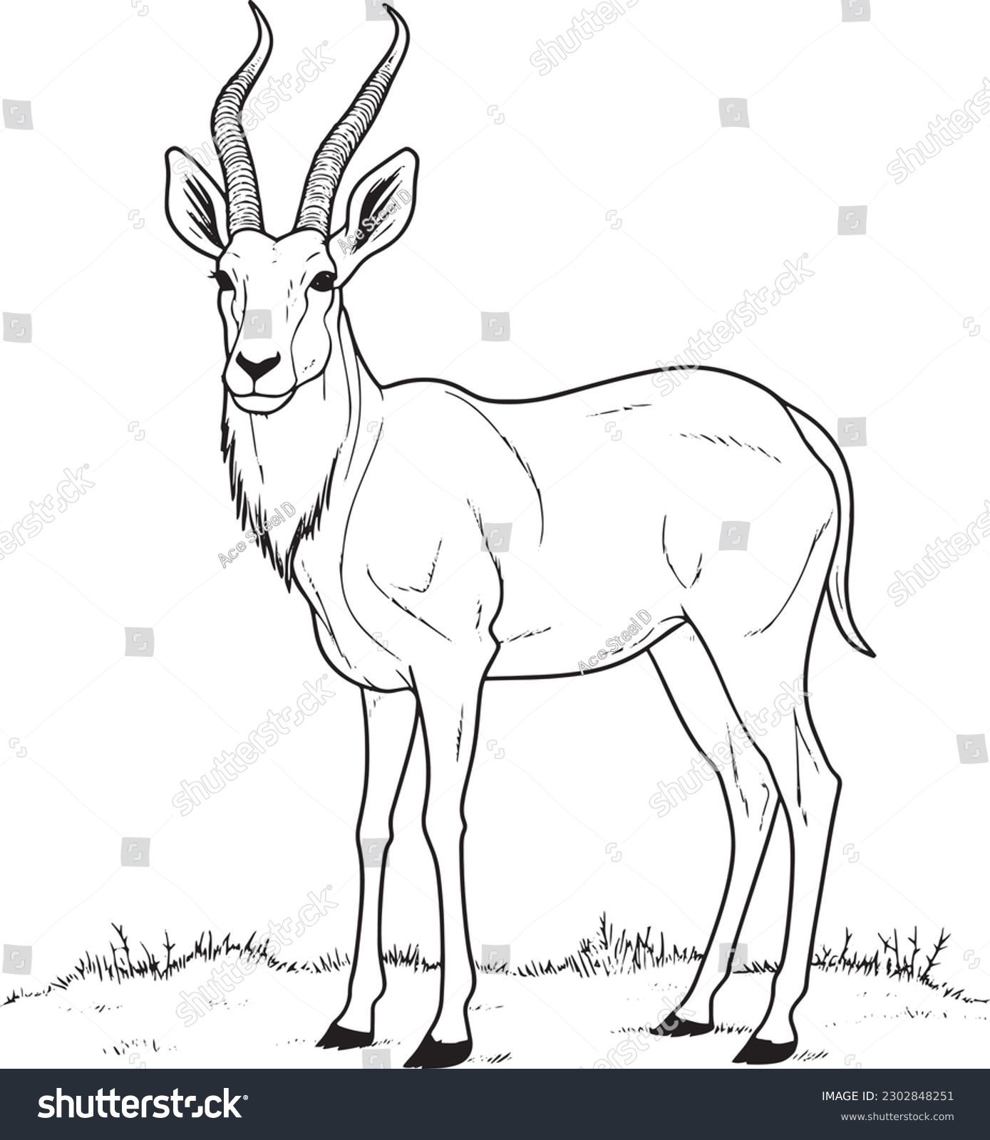 Antelope coloring book images stock photos d objects vectors
