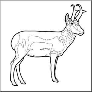 Clip art pronghorn color i