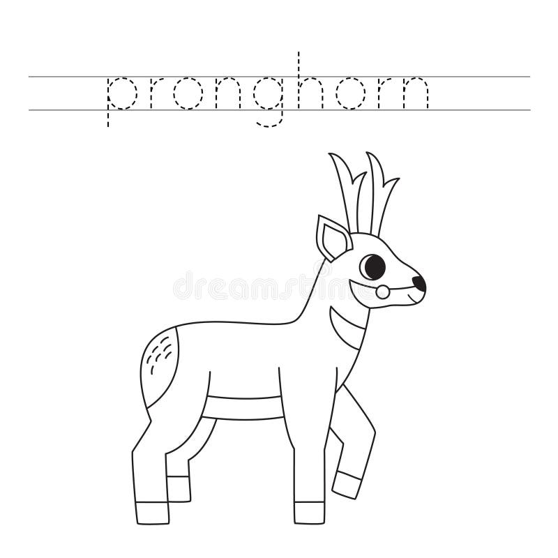 Pronghorn antelope stock illustrations â pronghorn antelope stock illustrations vectors clipart