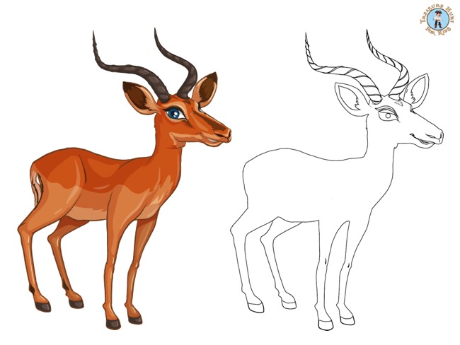 Gazelle coloring page