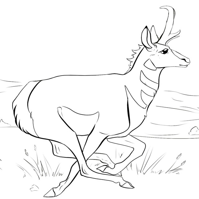 National trails coloring pages us national park service