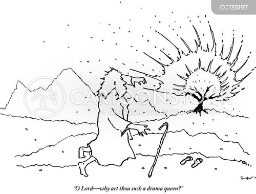 Prophet cartoons and ics