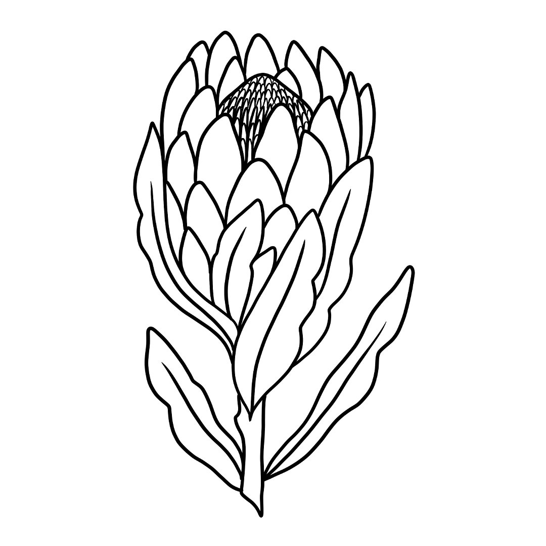 Free coloring pages â wreckless abandon