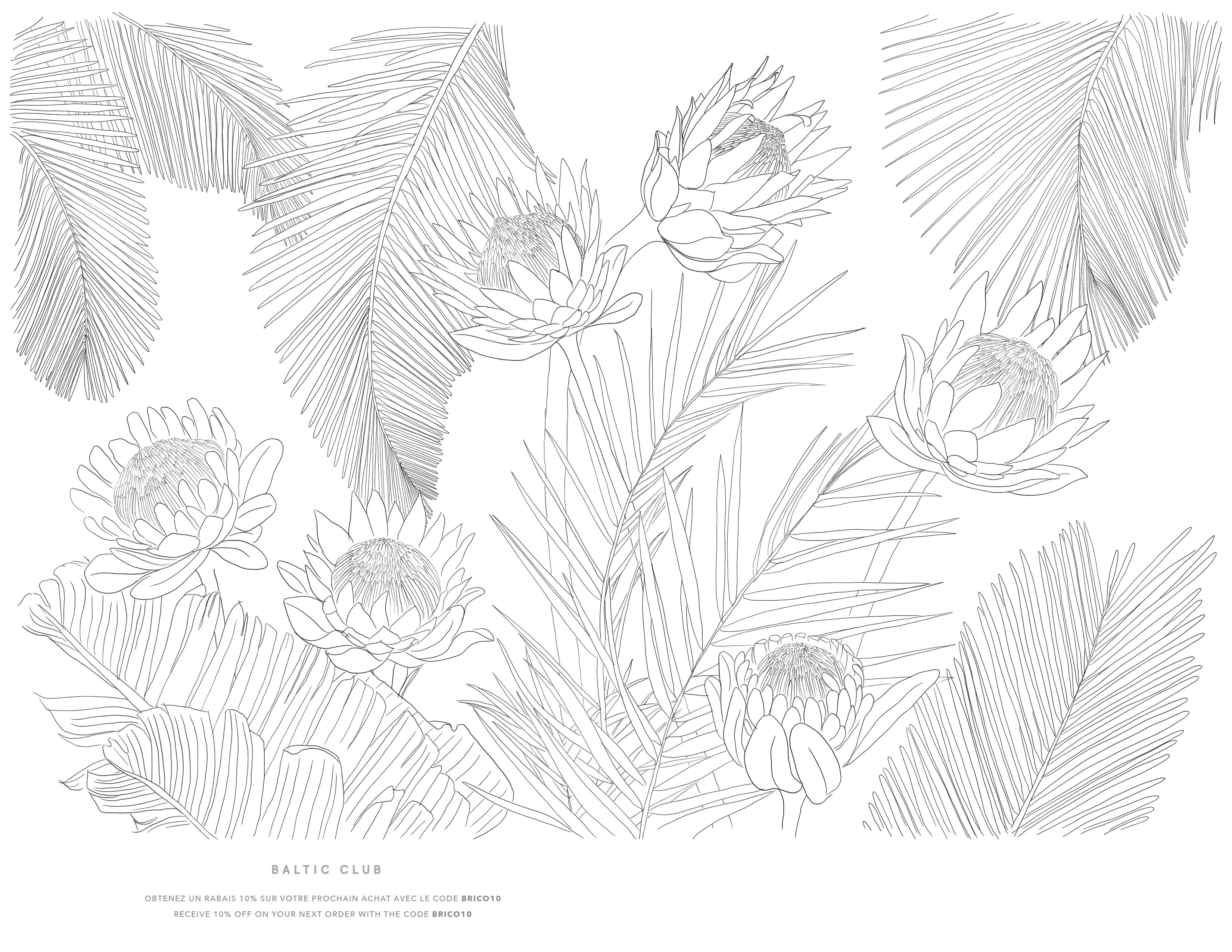 A protea coloring sheet â baltic club