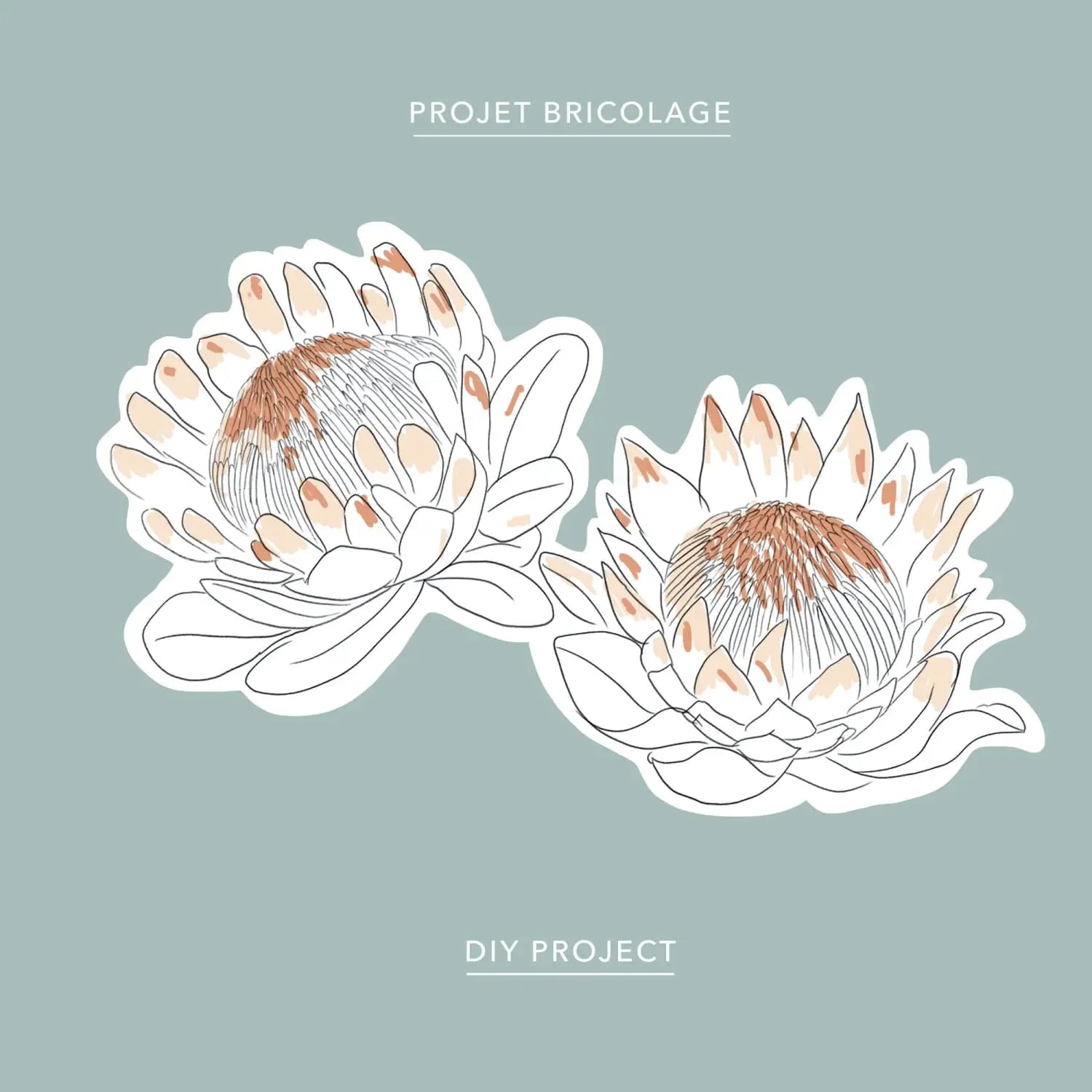 A protea coloring sheet â baltic club