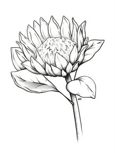 Scrapbooking faeries flowersetc in black and white to color in