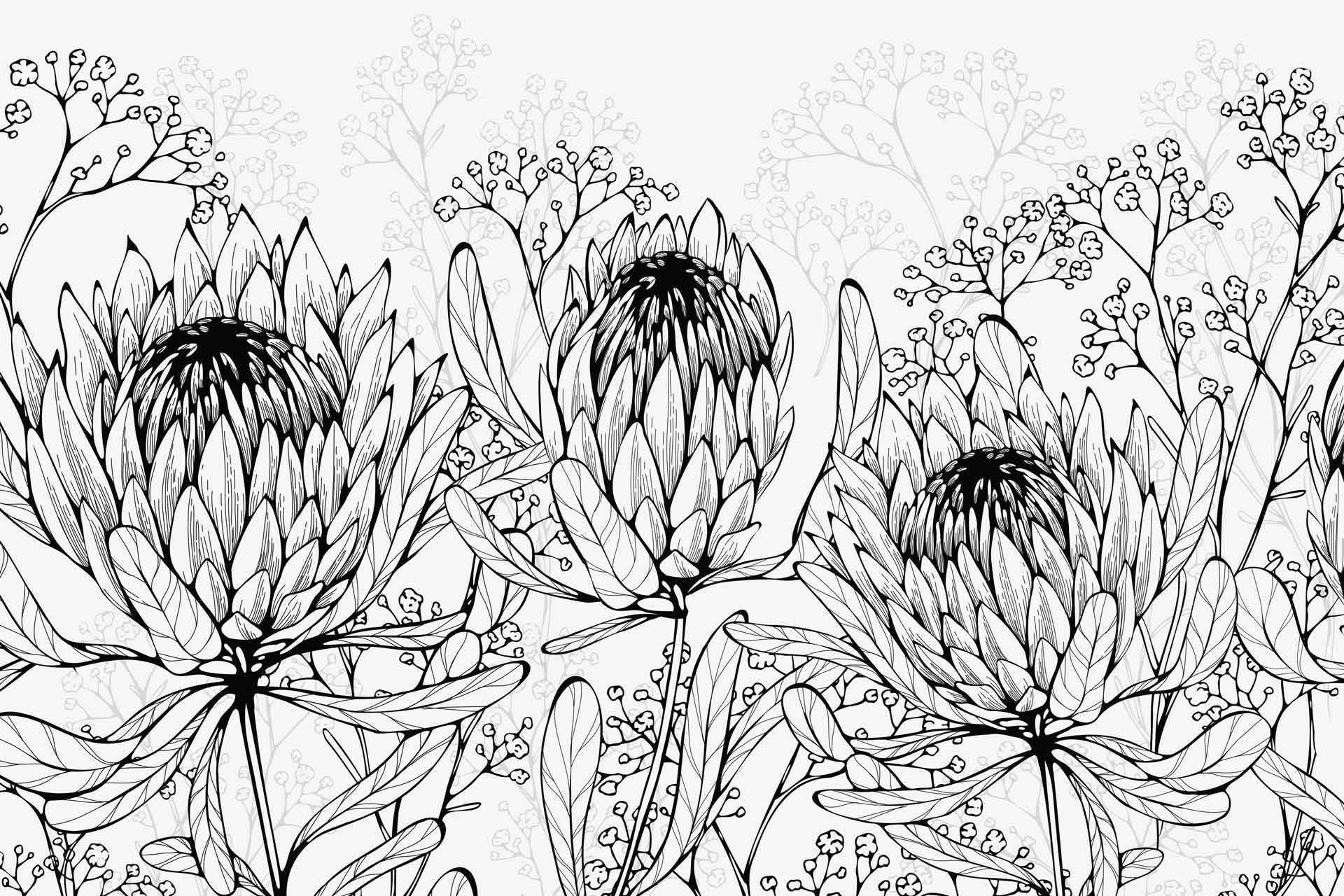 Protea action