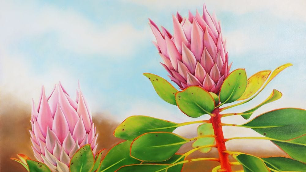 Make a protea painting â mont marte global