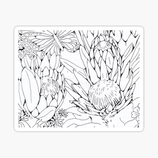 Black and white protea gifts merchandise for sale