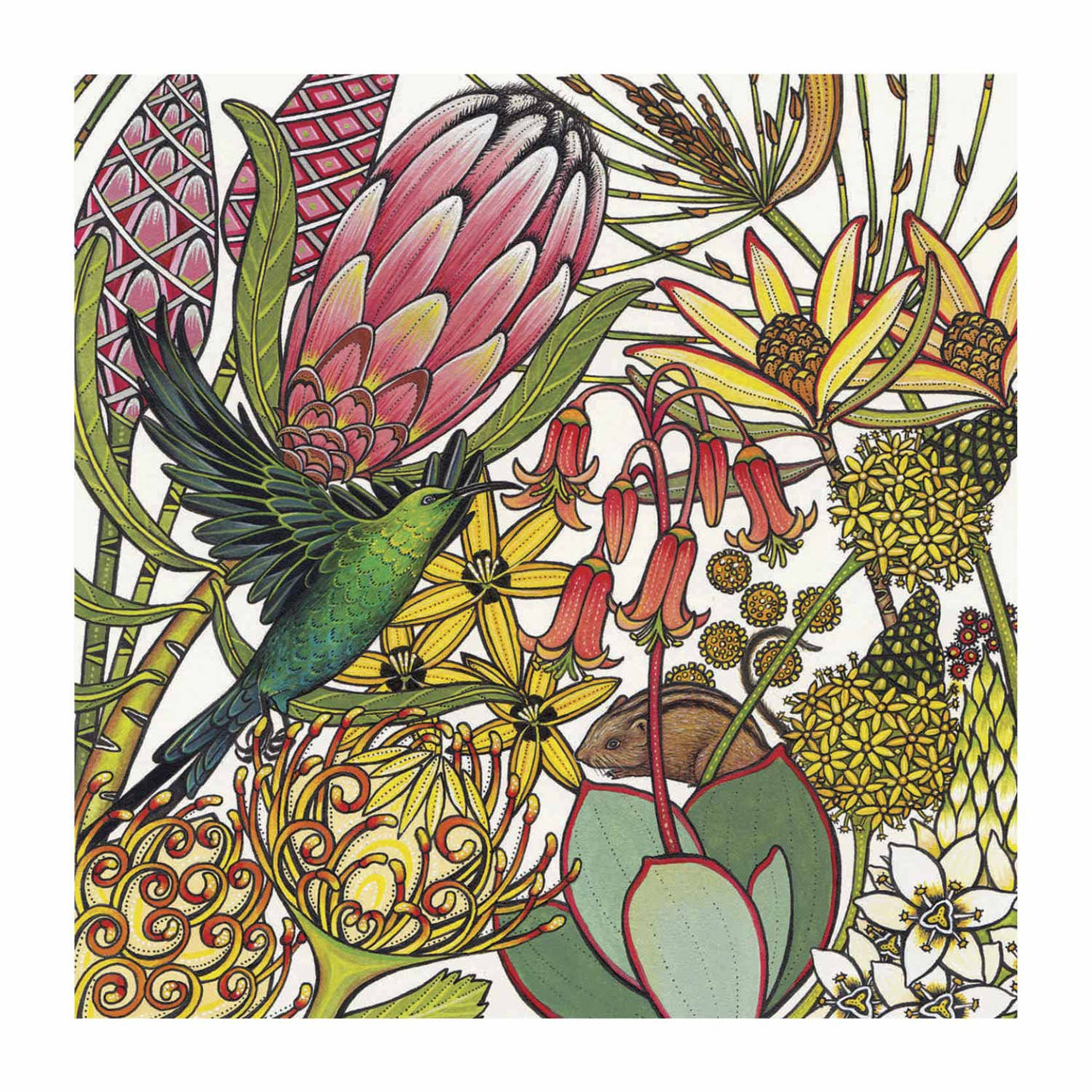 Protea profusion card