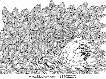 Coloring book page vector photo free trial bigstock