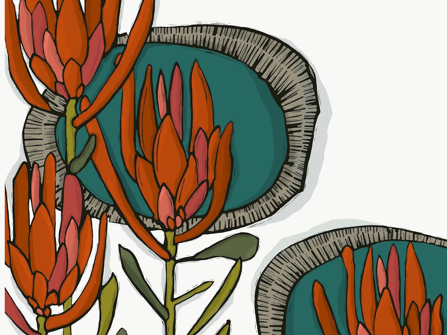 Protea