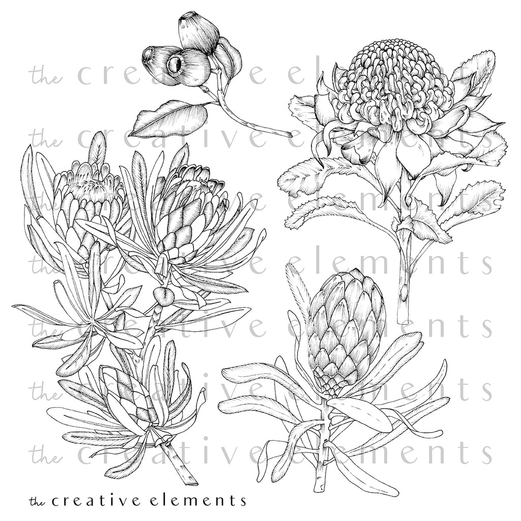 Australian etch the creative elements