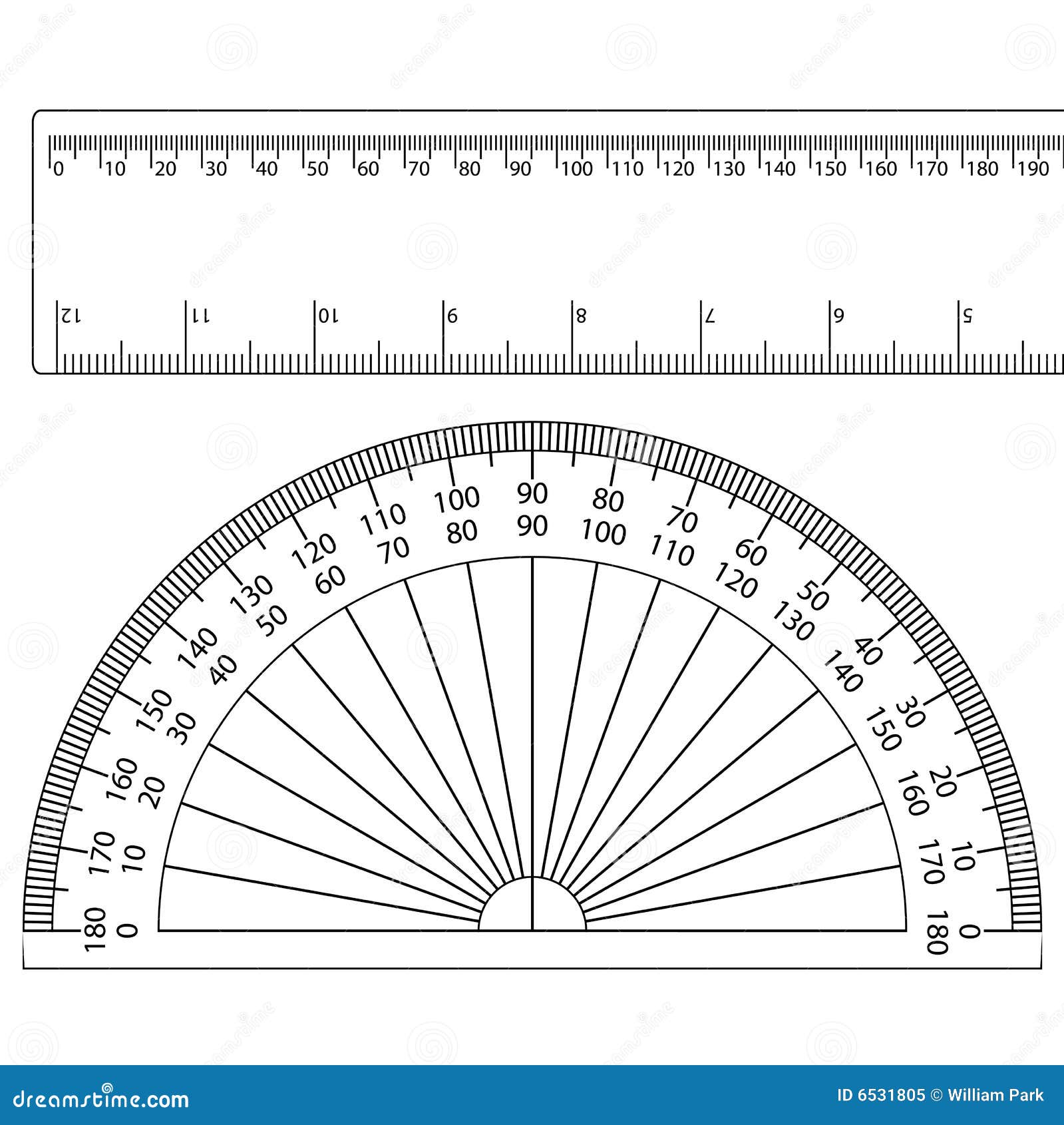 Protractorruler stock vector illustration of dial circle