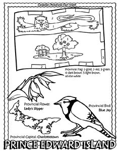 Nadian provincial flags birds and flowers ideas nadian provincial flags nadian history nadian