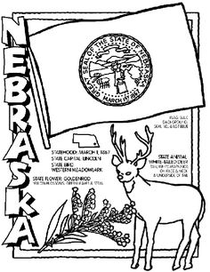 Usa coloring pages ideas coloring pages free coloring pages state symbols