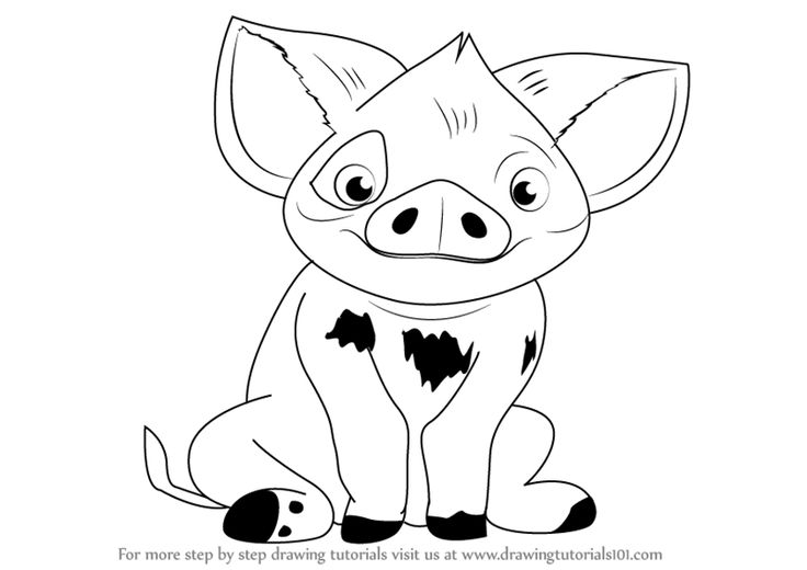 Learn how to draw pua from moana moana step by step drawing moana drawing disney drawings easy drawings