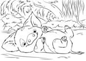 Moana coloring pages free coloring pages