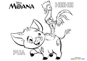 Pua