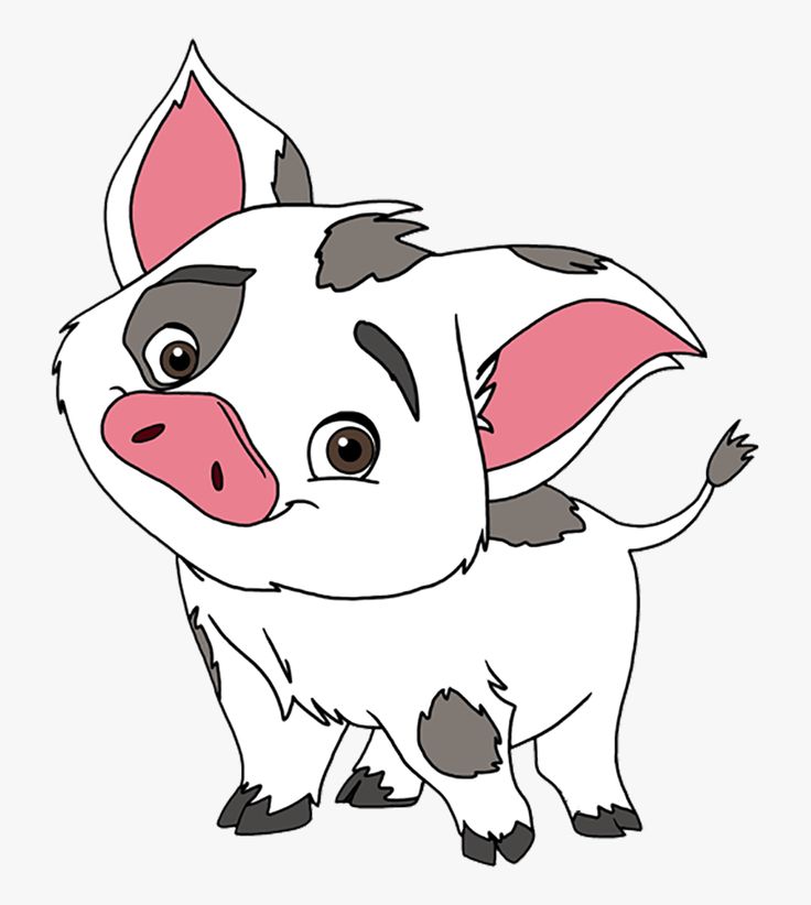 Disney moana pua png cartoon