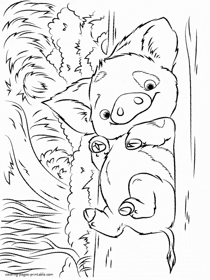 Pua coloring pages