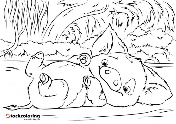 Pua pet pig dessin vaiana coloriage coloriage vaiana