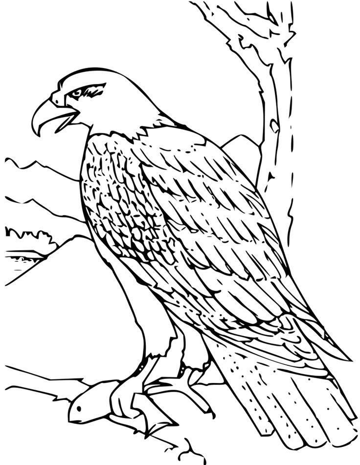 Public domain coloring book pages