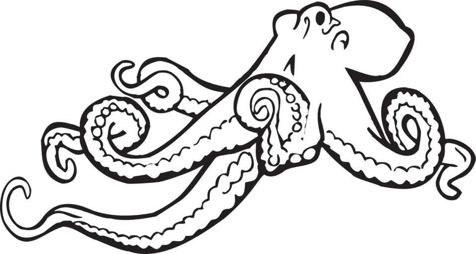 Public domain clip art image coloring book octopus id