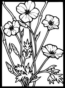 Public domain ideas drawings public domain coloring pages