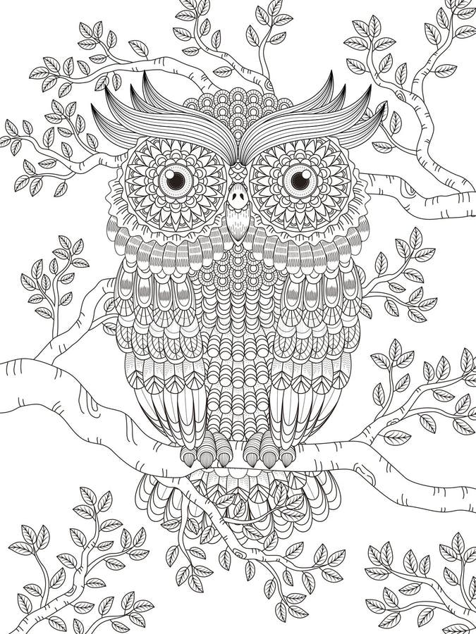 Adult coloring page stock illustrations â adult coloring page stock illustrations vectors clipart