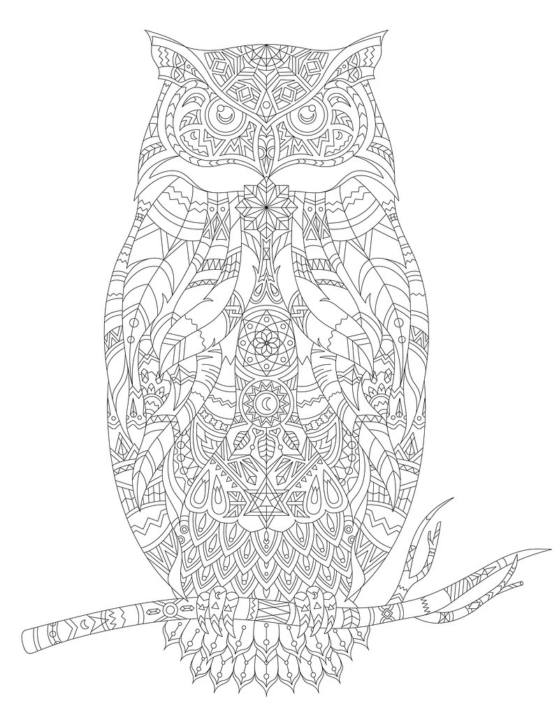 Coloring images free photos png stickers wallpapers backgrounds