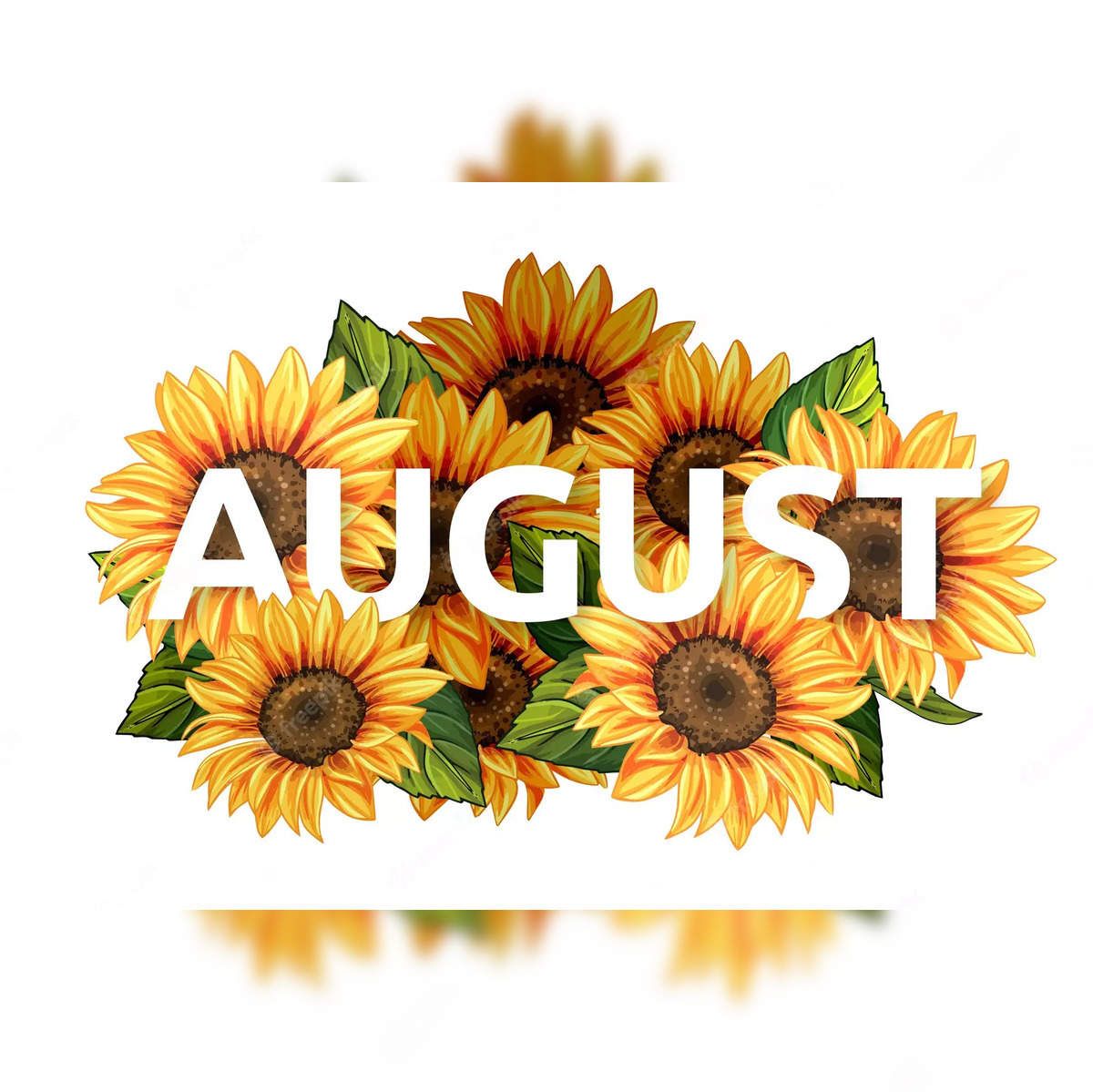 Us holidays us holidays know all the fun and quirky days to celebrate in august check full list here