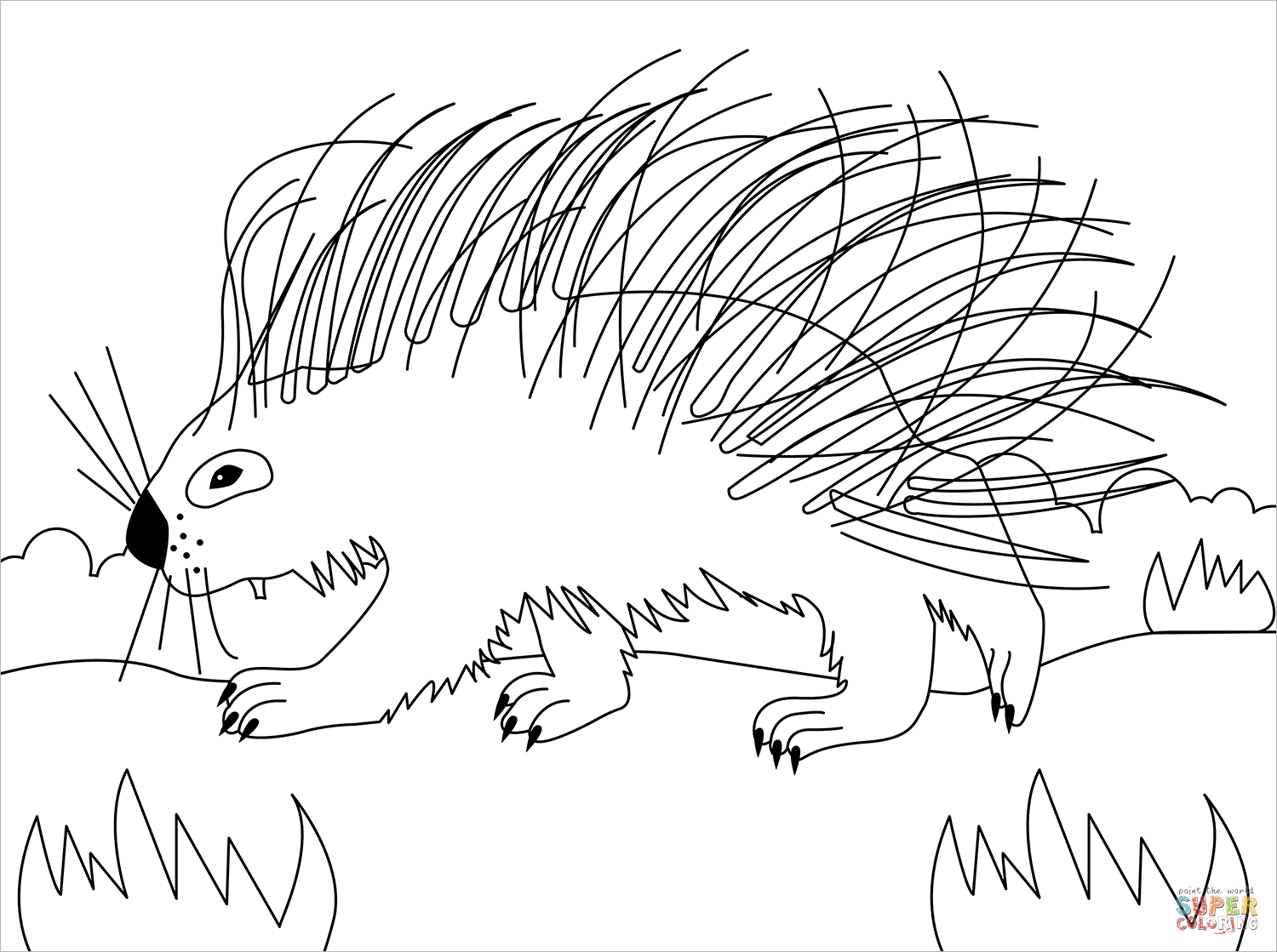 Porcupine coloring page free printable coloring pages