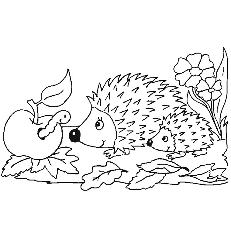 Dibujo de erizo para colorear y pintar