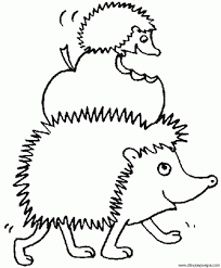 Ilustracion puerco pin para colorear