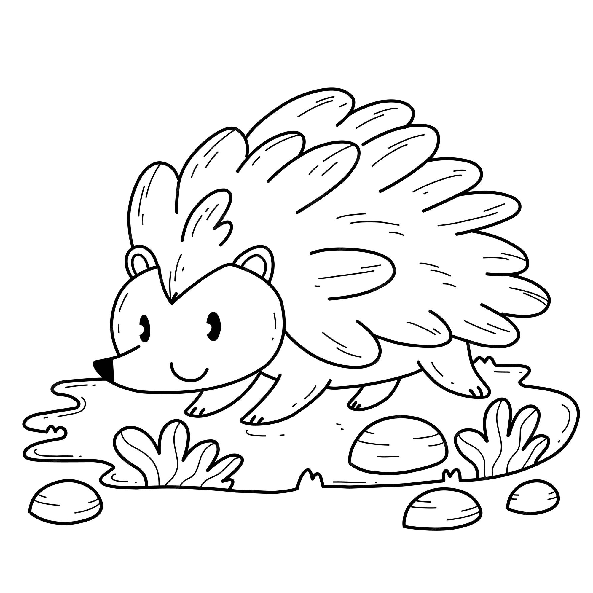 Premium vector animals coloring book alphabet isolated on white background vector cartoon porcupine