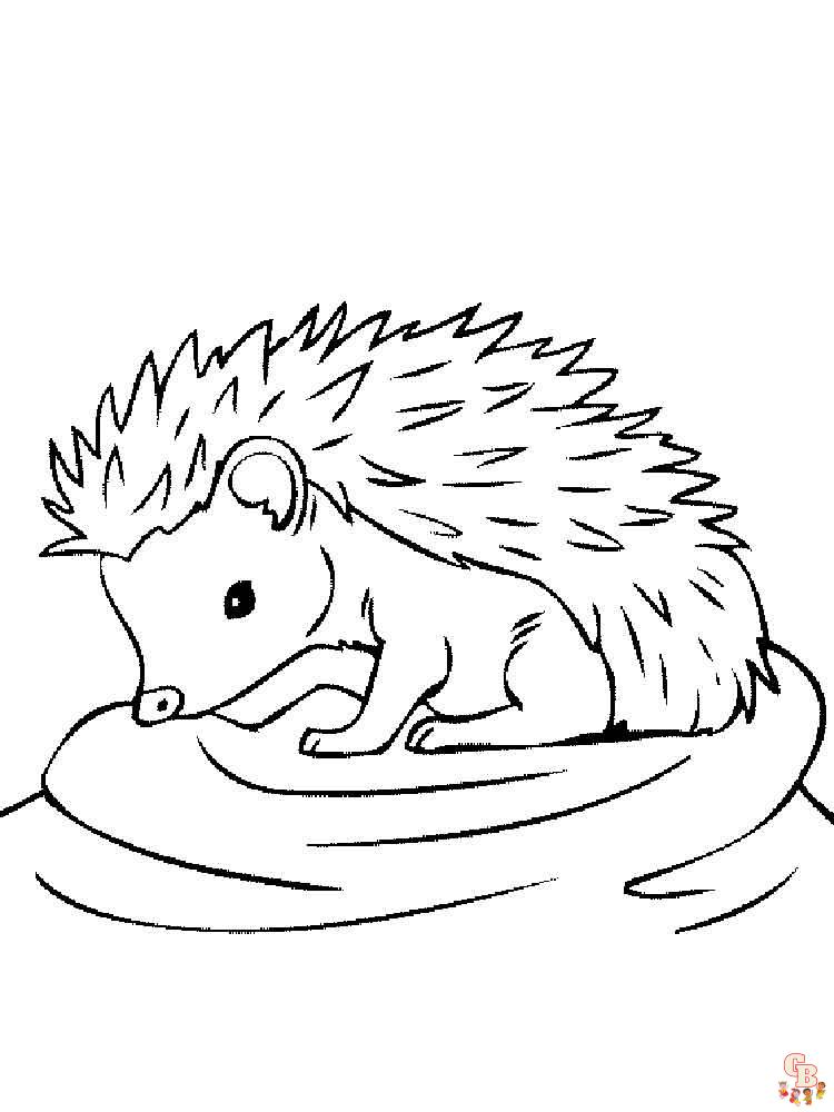 Adorables dibujos erizo para colorear