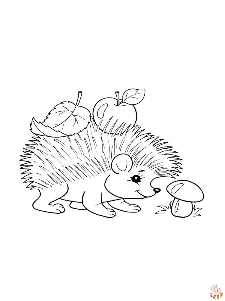 Adorables dibujos erizo para colorear