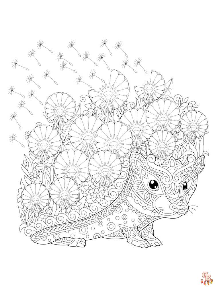 Adorables dibujos erizo para colorear