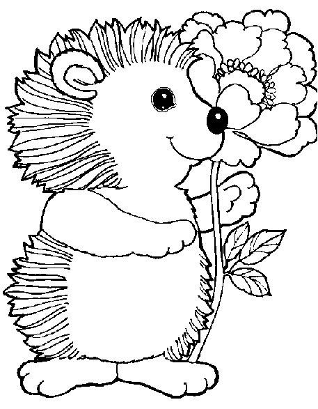 Dibujos de erizo animales para colorear y pintar â pãginas para imprimir y colorear