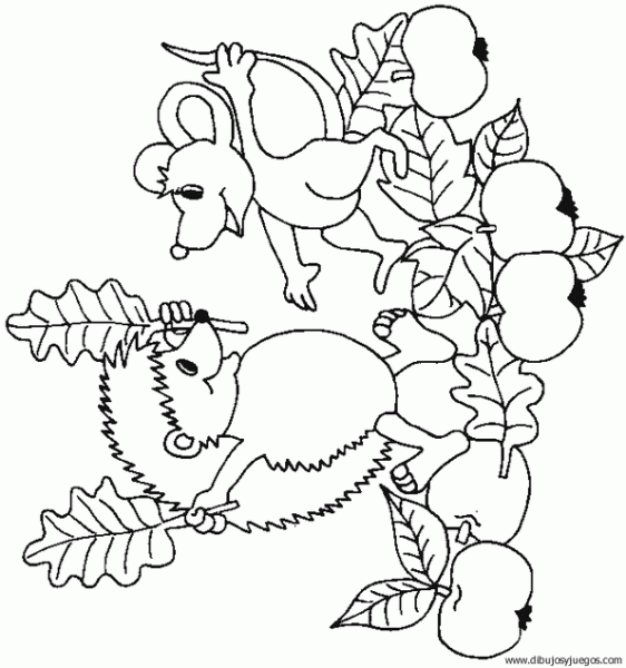 Dibujo