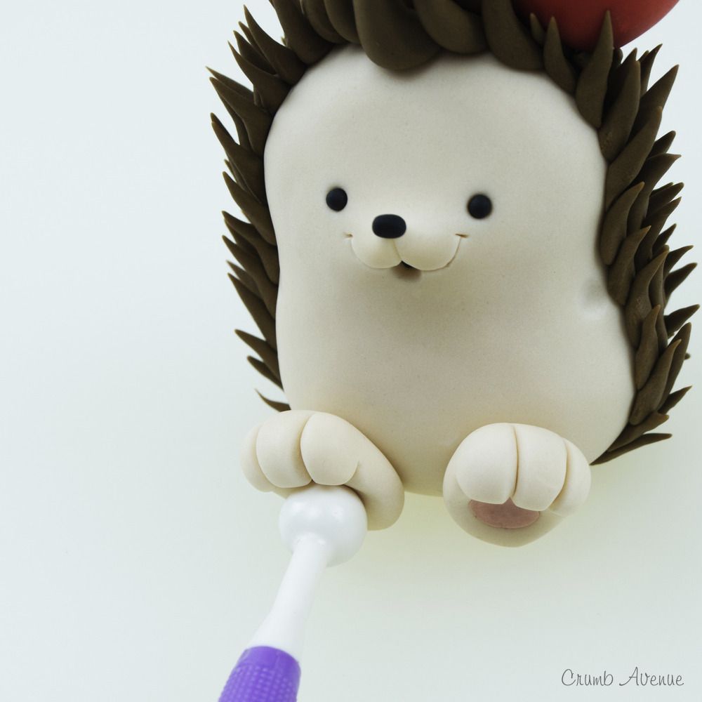 Puercoespãn hedgehog erizos