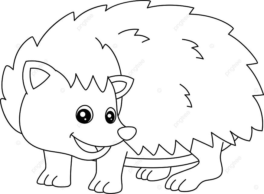 Dibujo de erizo pãgina para colorear aislado niãos nião puercopãn vector png dibujos dibujo de anillo dibujo de alfiler dibujo infantil png y vector para dcargar gratis