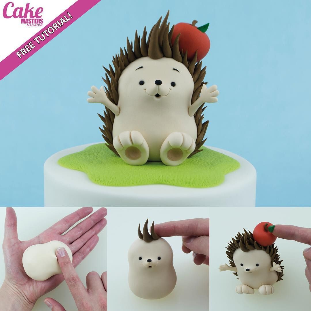 Puercoespãn hedgehog erizos